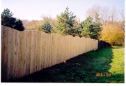 6 ft northern white cedar - domed and dogear