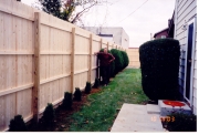 8 ft spruce stockade