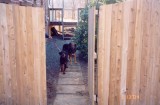 Northern White Cedar 6ft scalloped (dog kennel)
